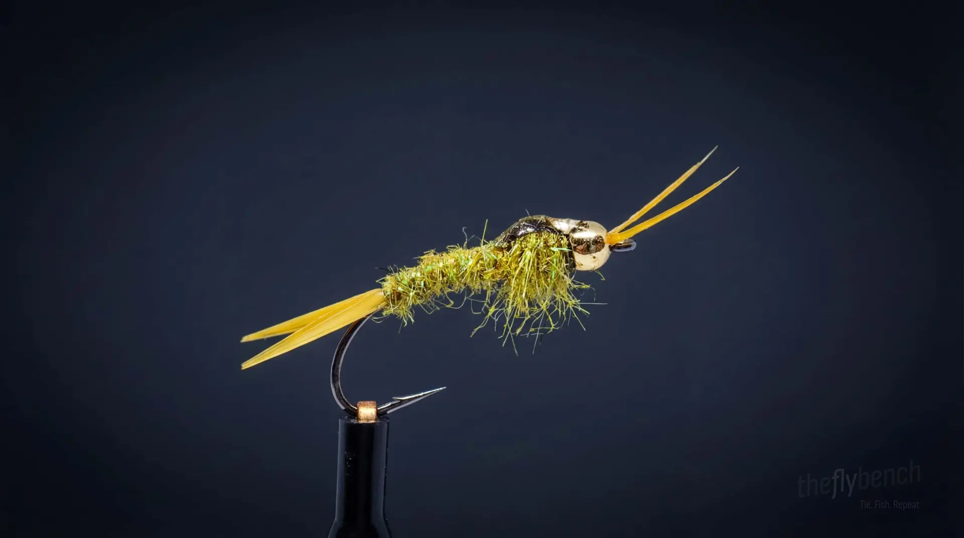 Simple Golden Stone fly pattern - imitates Stoneflies tied for Trout