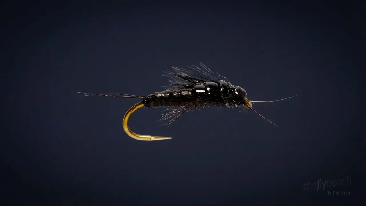 Little Black Stonefly