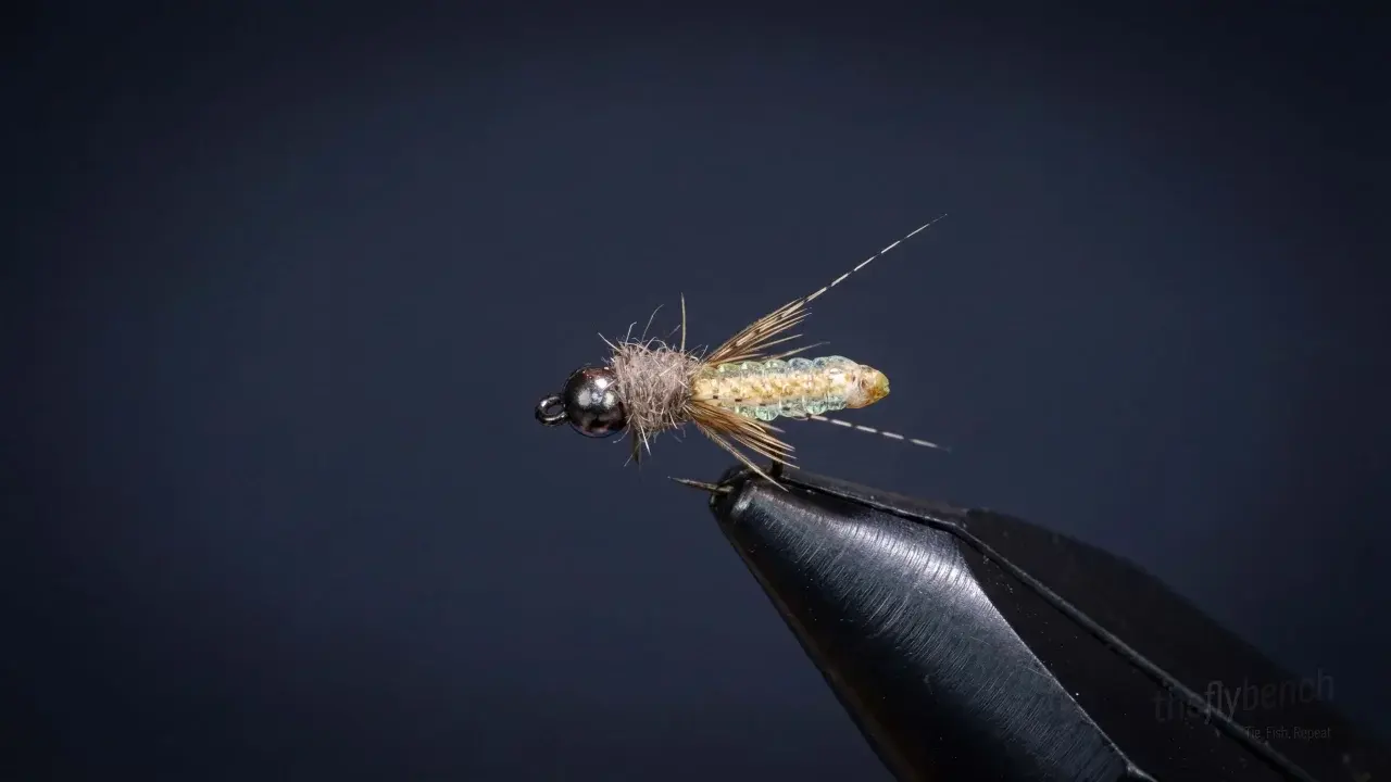 Nitro Caddis Pupa