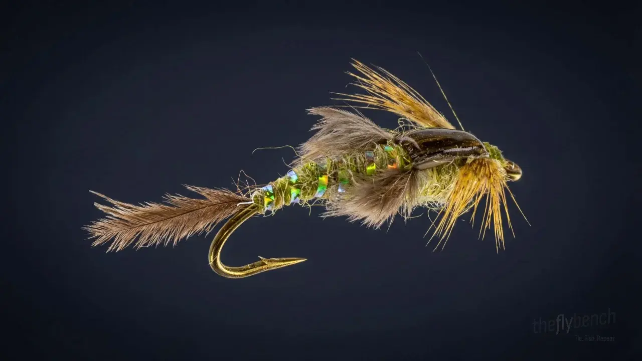 Poxyback Callibaetis