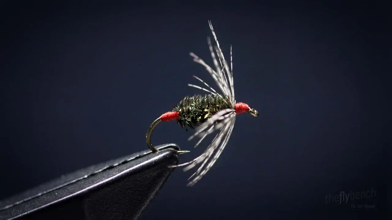 Red Ass Soft Hackle