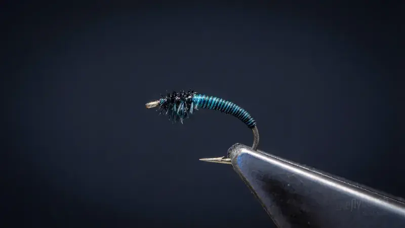 Caddis Quill Larva