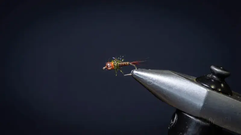 Copper Quill Nymph