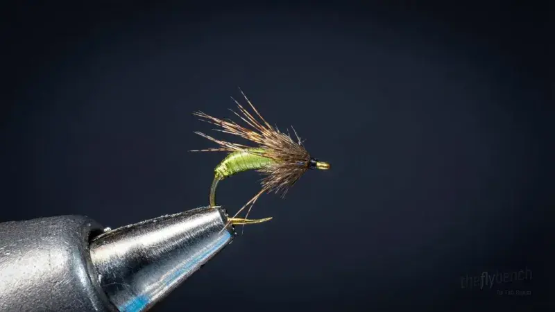 Graphic Caddis