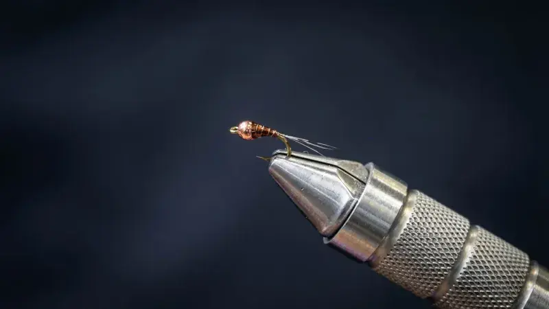 Montana Bullet