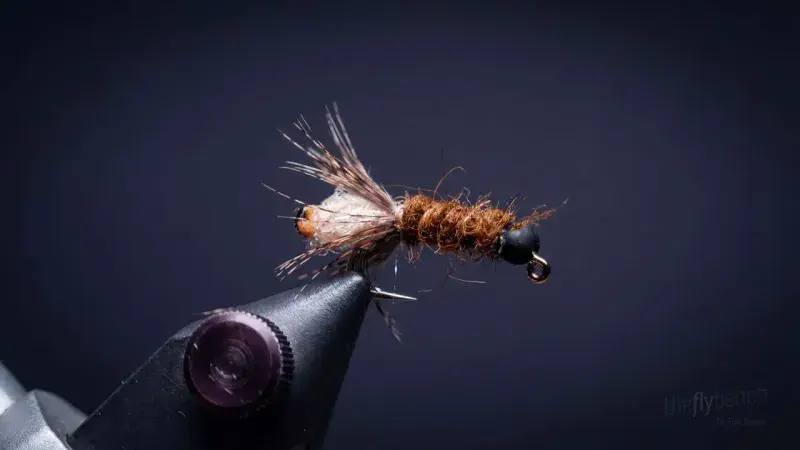 Peeping Caddis Nymph