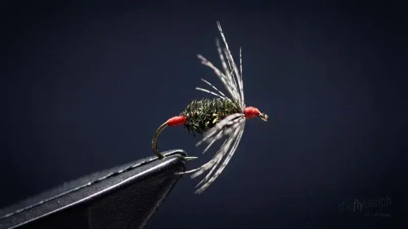 Red Ass Soft Hackle