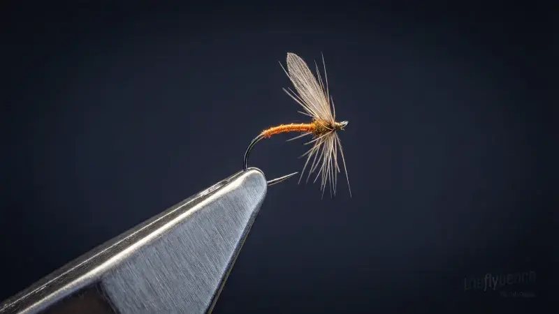 Softhackle with Flat Body and Corded Rib