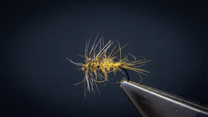 Two Flymphs (generic)