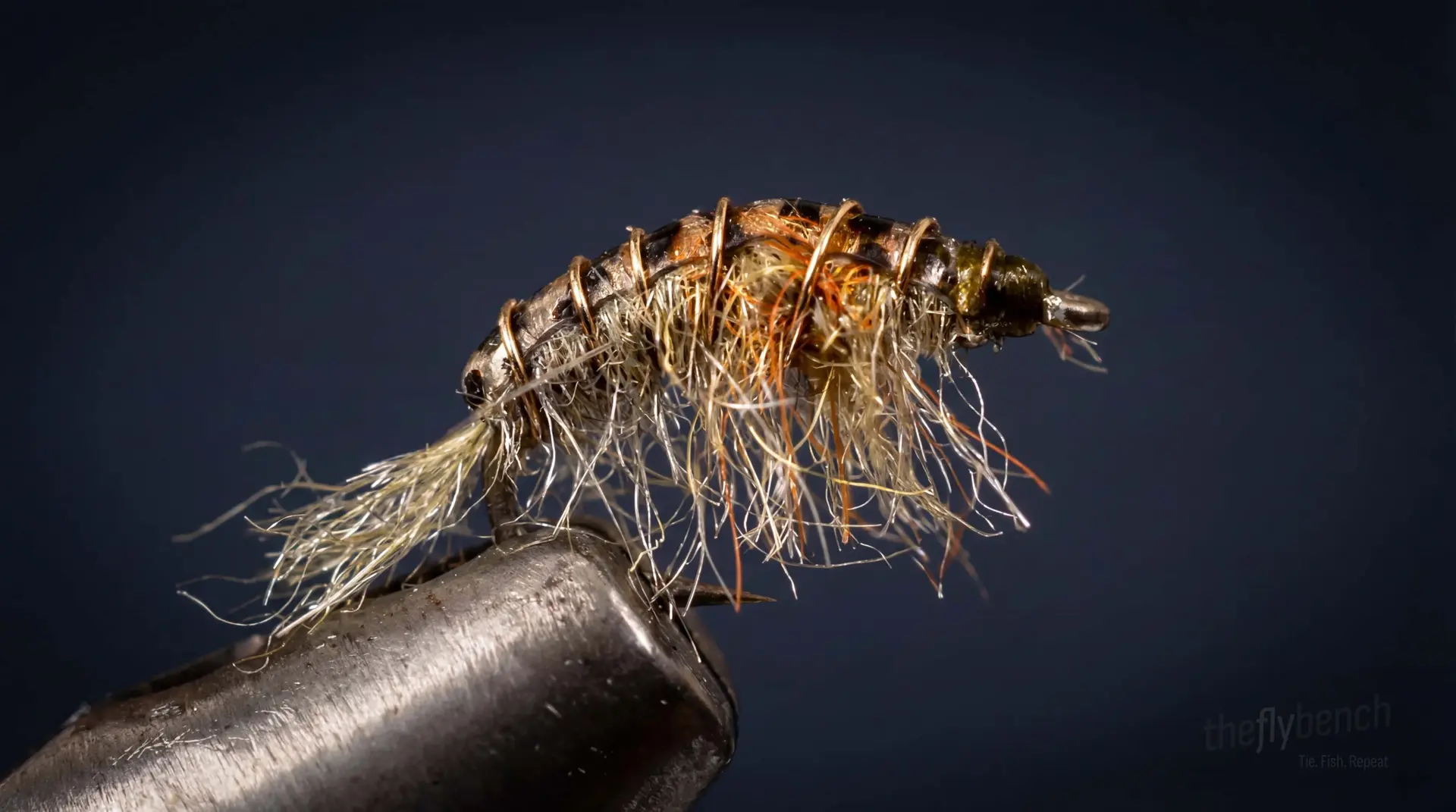 Simple Scud fly pattern - imitates Scuds tied for Trout