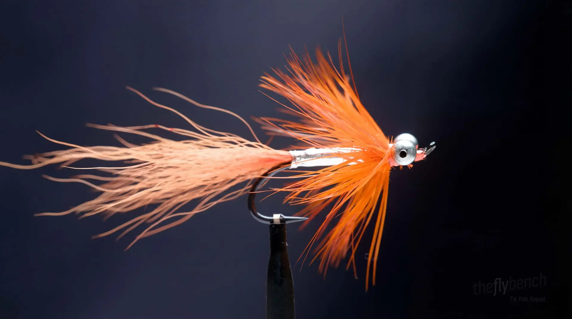 Comet fly pattern - imitates Baitfish tied for Salmon, Steelhead