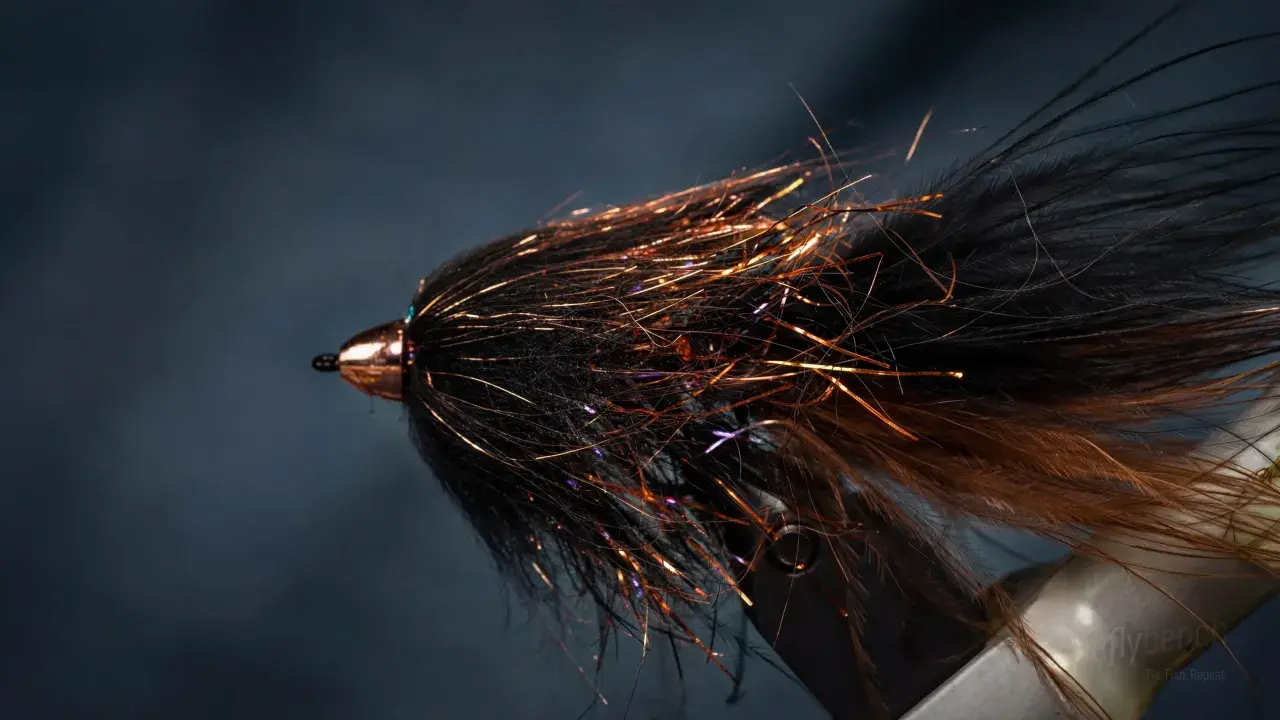 Complex Twist Bugger - Black/Brown