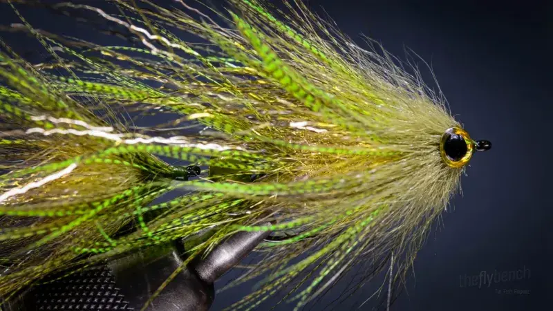 Swim Coach Articulated Streamer