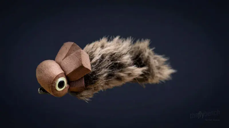 The Big Eyed Semperfli Mouse