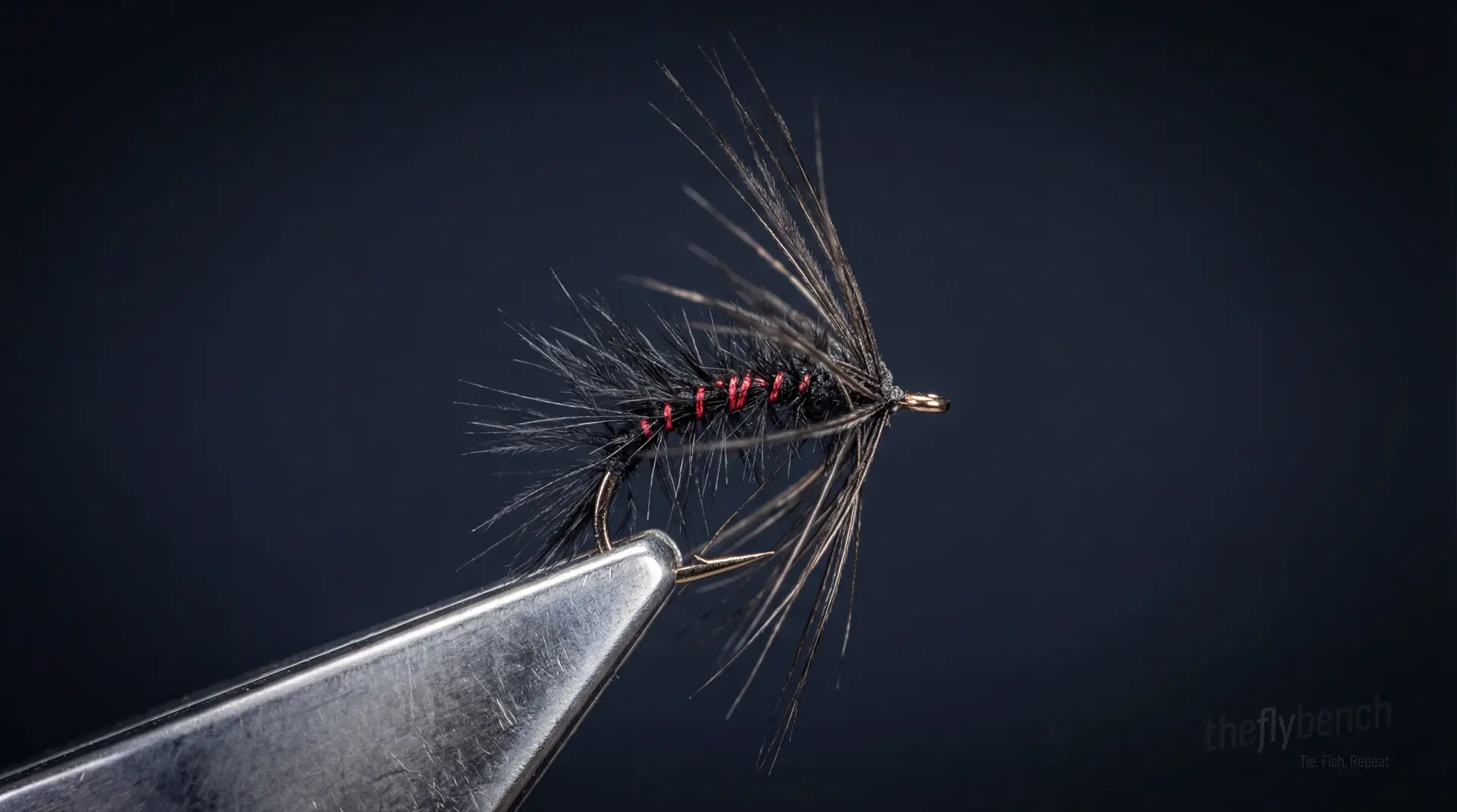 Bloody Snail fly pattern - imitates Snails tied for Trout