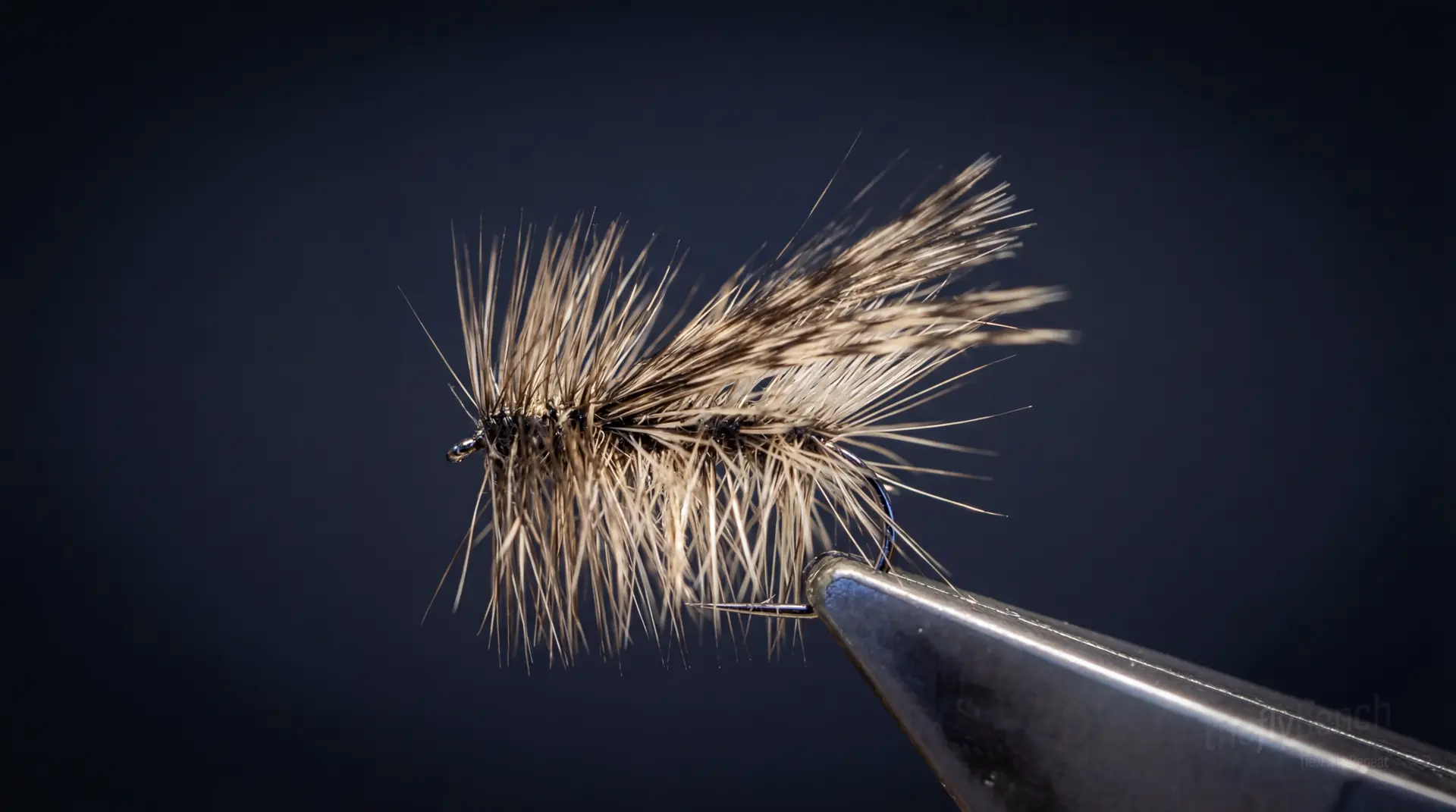 Buzz fly pattern - imitates Mayflies, Caddis tied for Trout