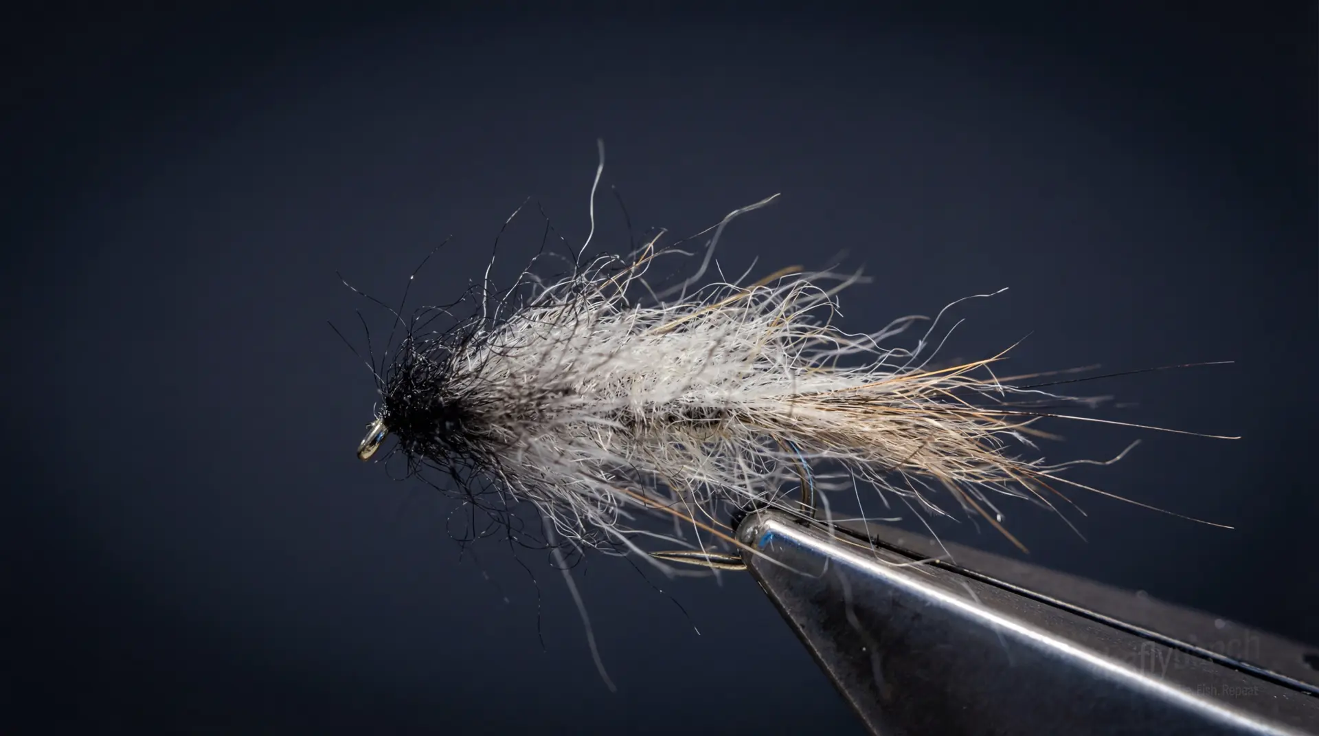 Casual Dress Variant fly pattern - imitates Ants tied for Trout