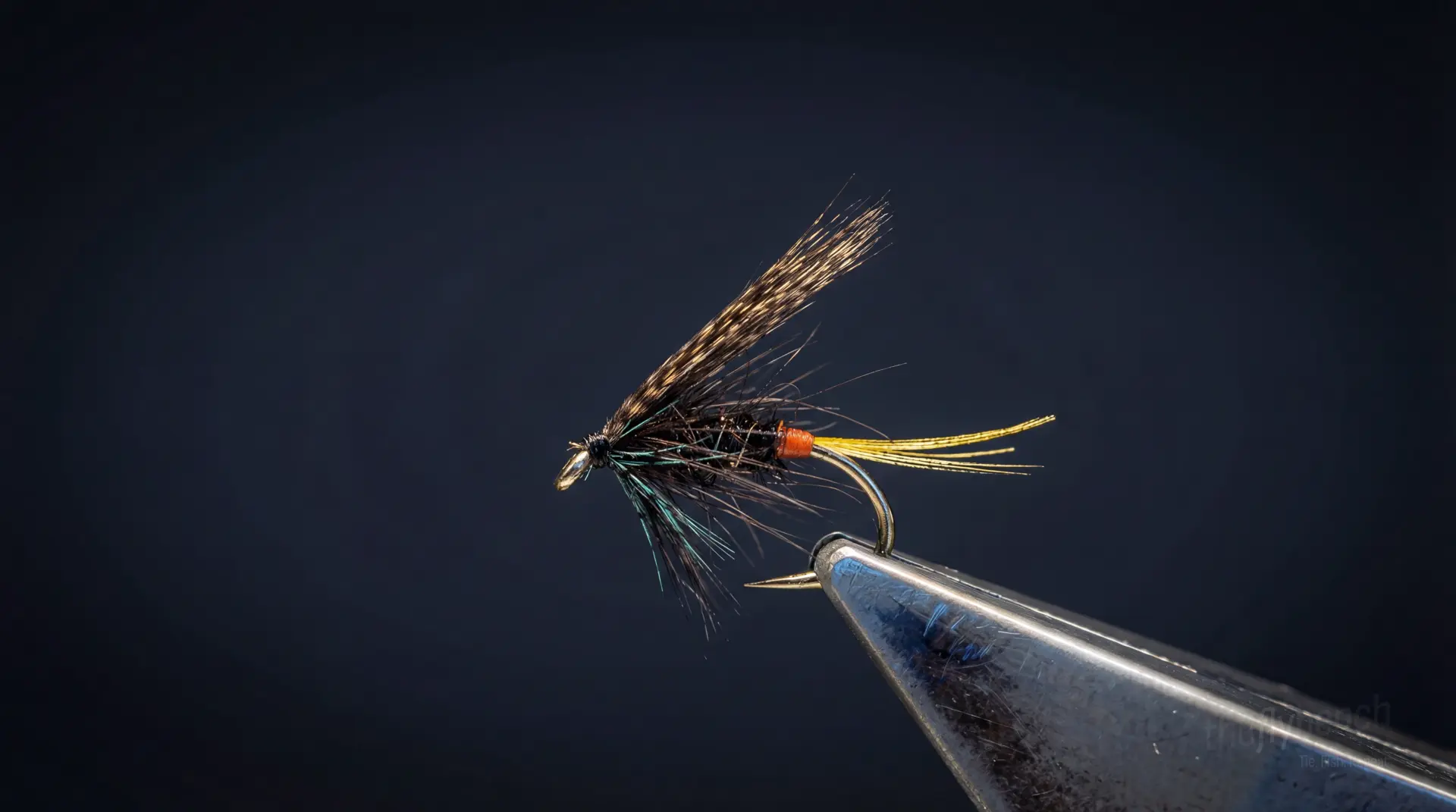 Connemara Black Variant fly pattern - imitates Ants tied for Trout
