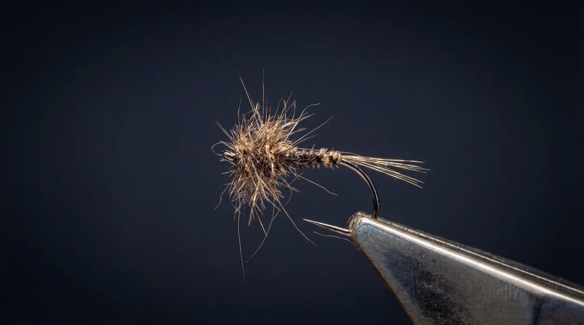 Leo fly pattern - imitates Mayflies, Caddis tied for Trout