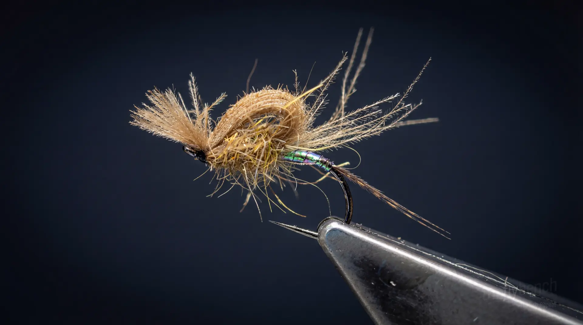 CDC Loop Wing Emerger fly pattern - imitates Emerging Insects tied for Trout