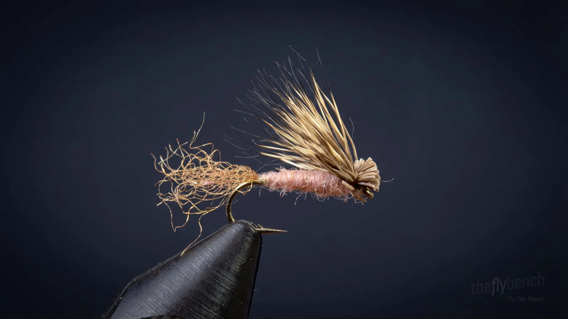 Bighorn CDC X Caddis fly pattern - imitates Caddis Pupae tied for Trout