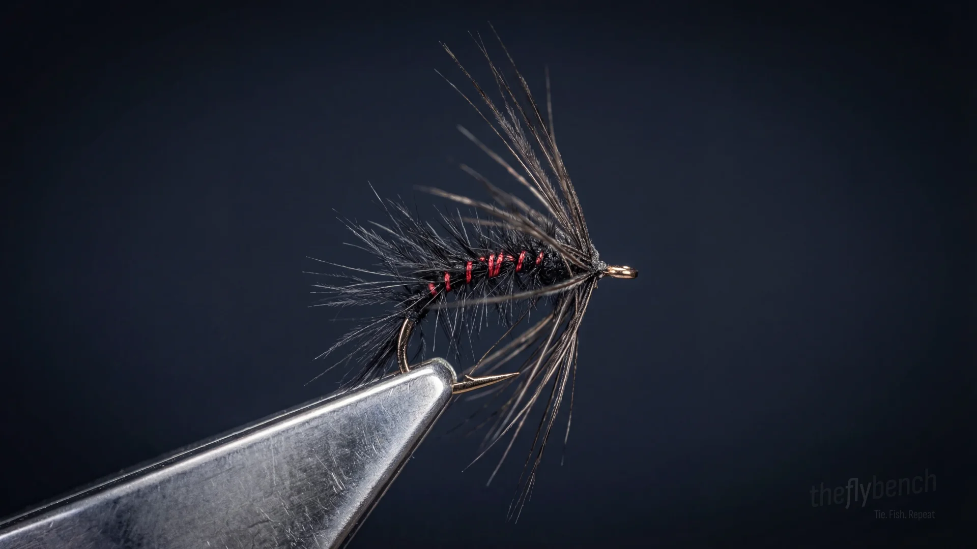 Bloody Snail fly pattern - imitates Snails tied for Trout