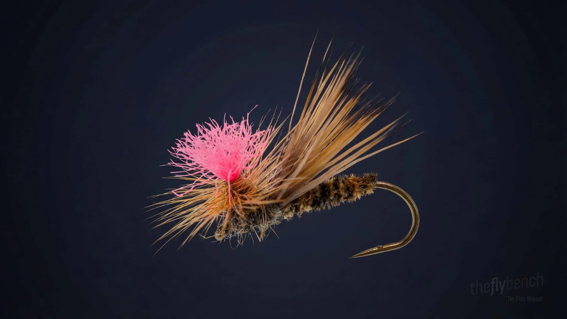 Bloom Caddis fly pattern - imitates Adult Caddis tied for Trout