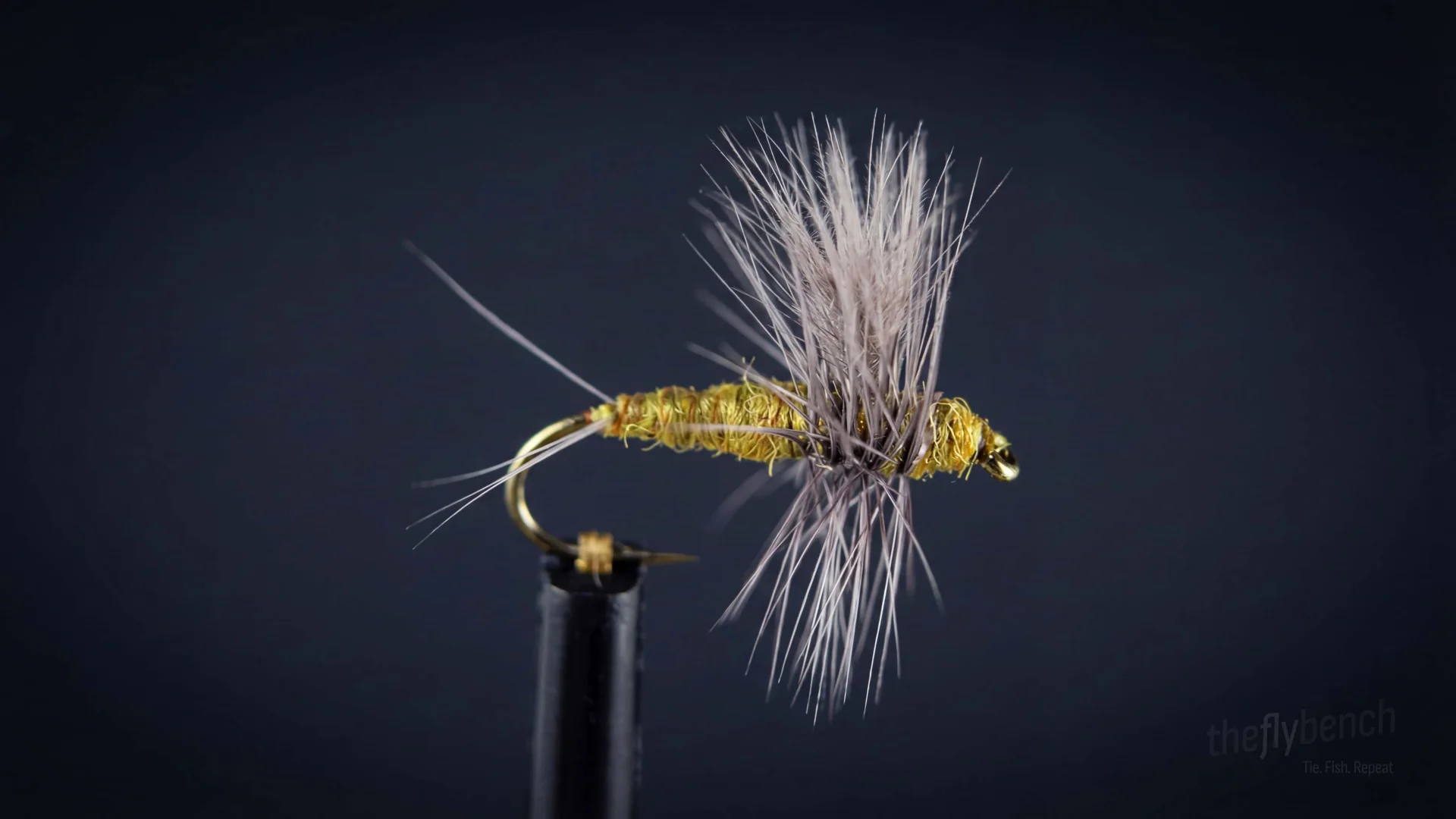 BWO Thorax fly pattern - imitates Blue-Winged Olive tied for Trout