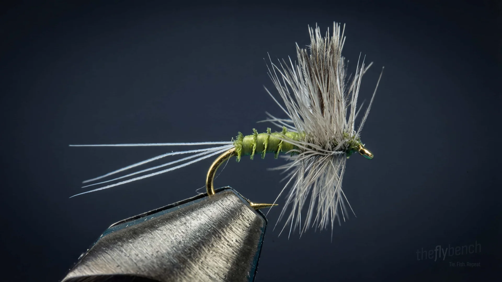 CDC Biot Thorax Dun fly pattern - imitates Mayflies tied for Trout