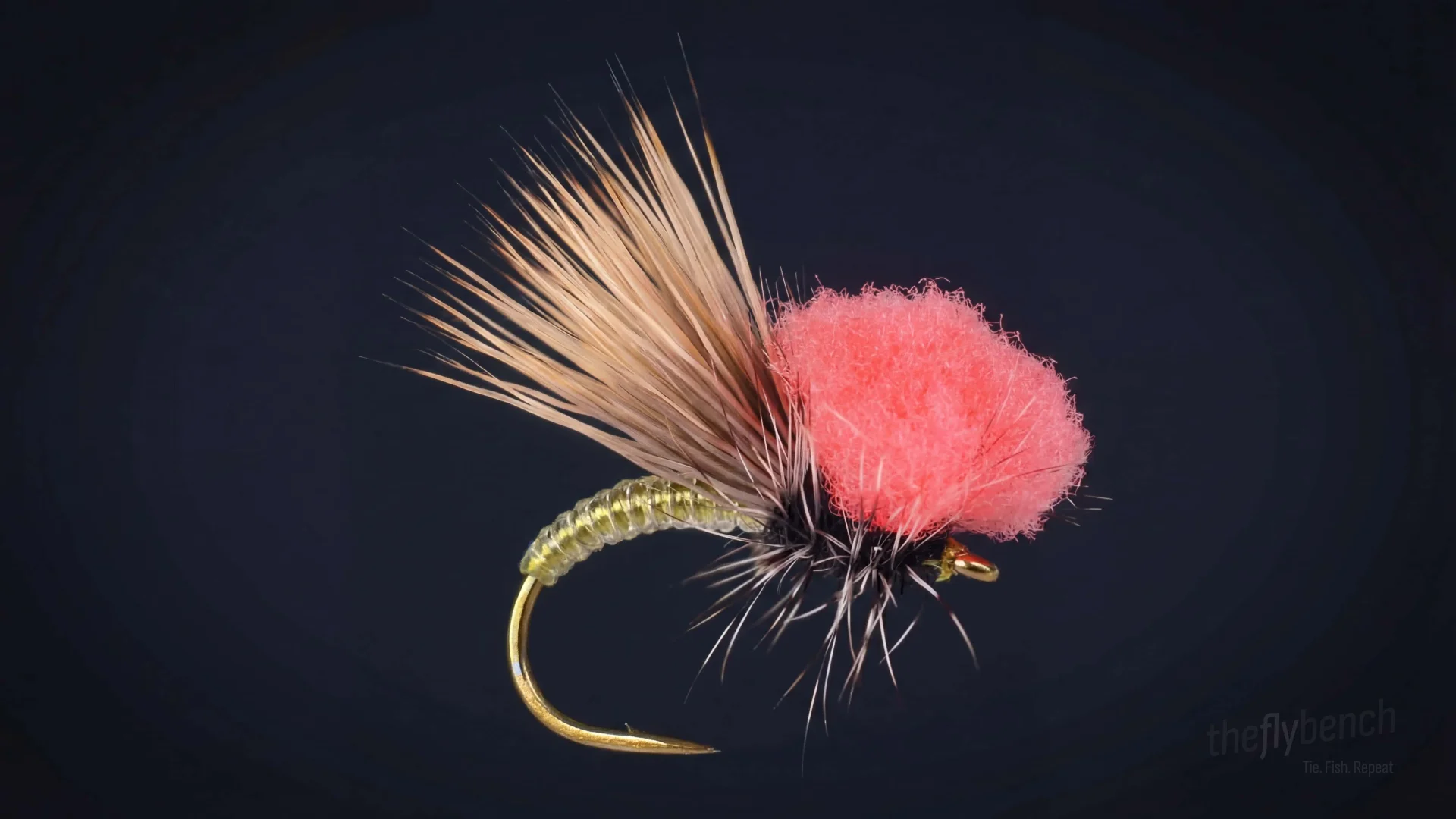 Clown Shoe Caddis fly pattern - imitates Caddis tied for Trout