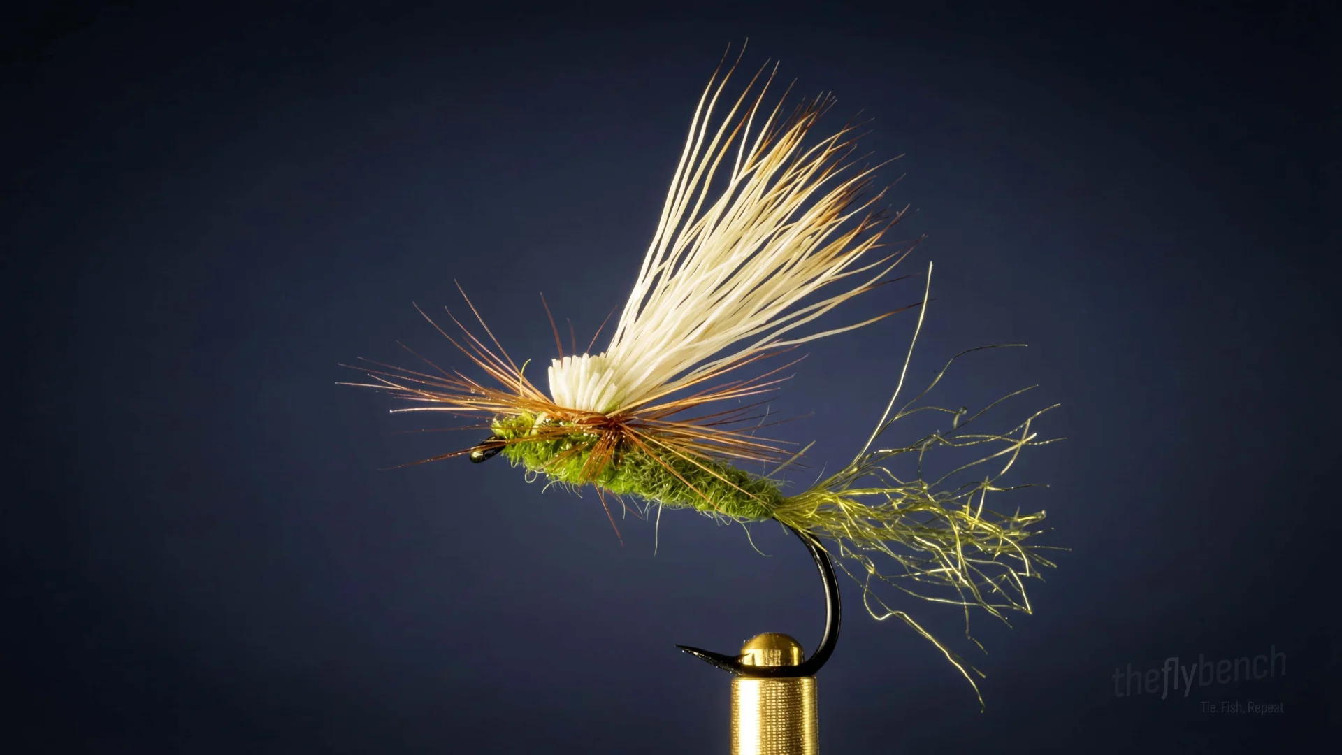 EC Caddis fly pattern - imitates Caddis tied for Trout