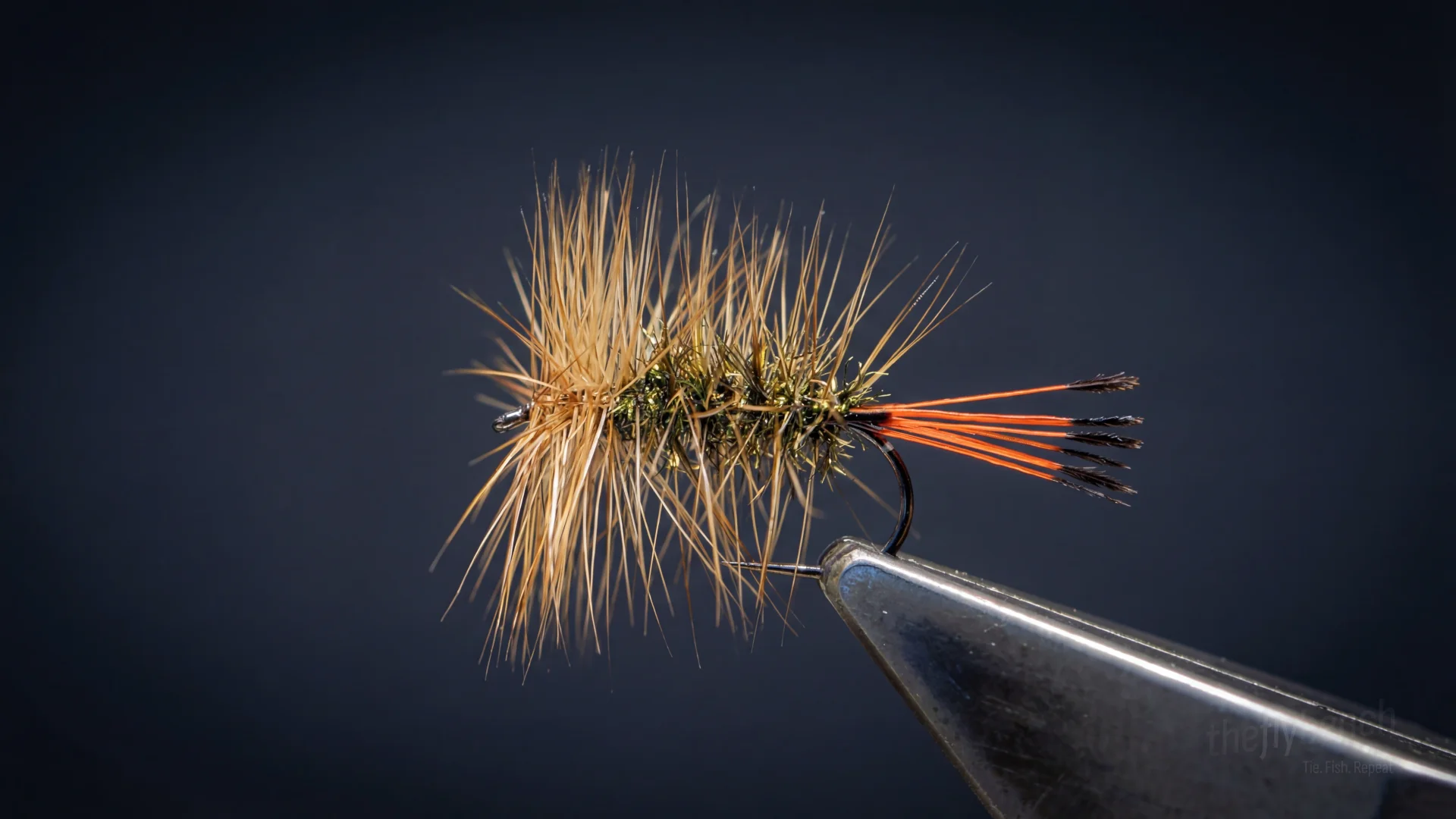 Geehi Beetle Variant fly pattern - imitates Ants tied for Trout