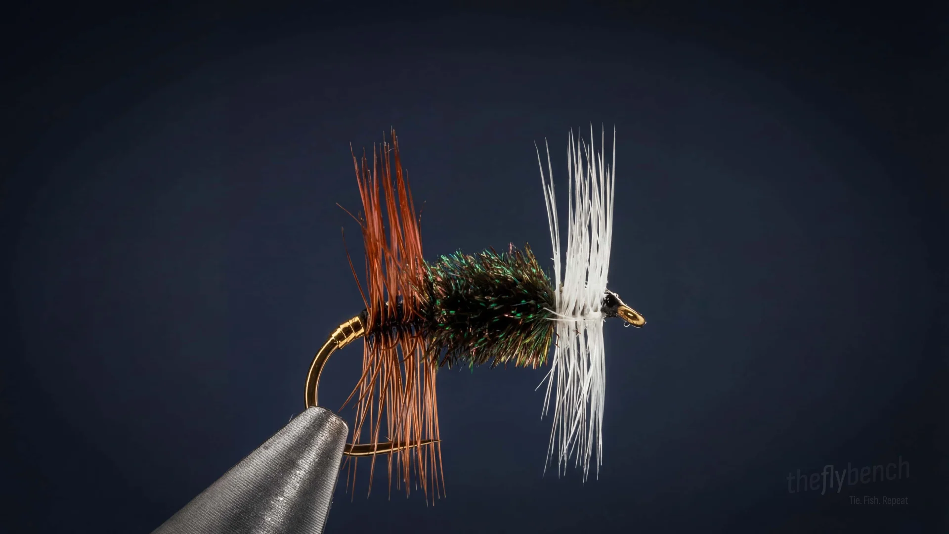 Renegade fly pattern - imitates Attractor tied for Trout