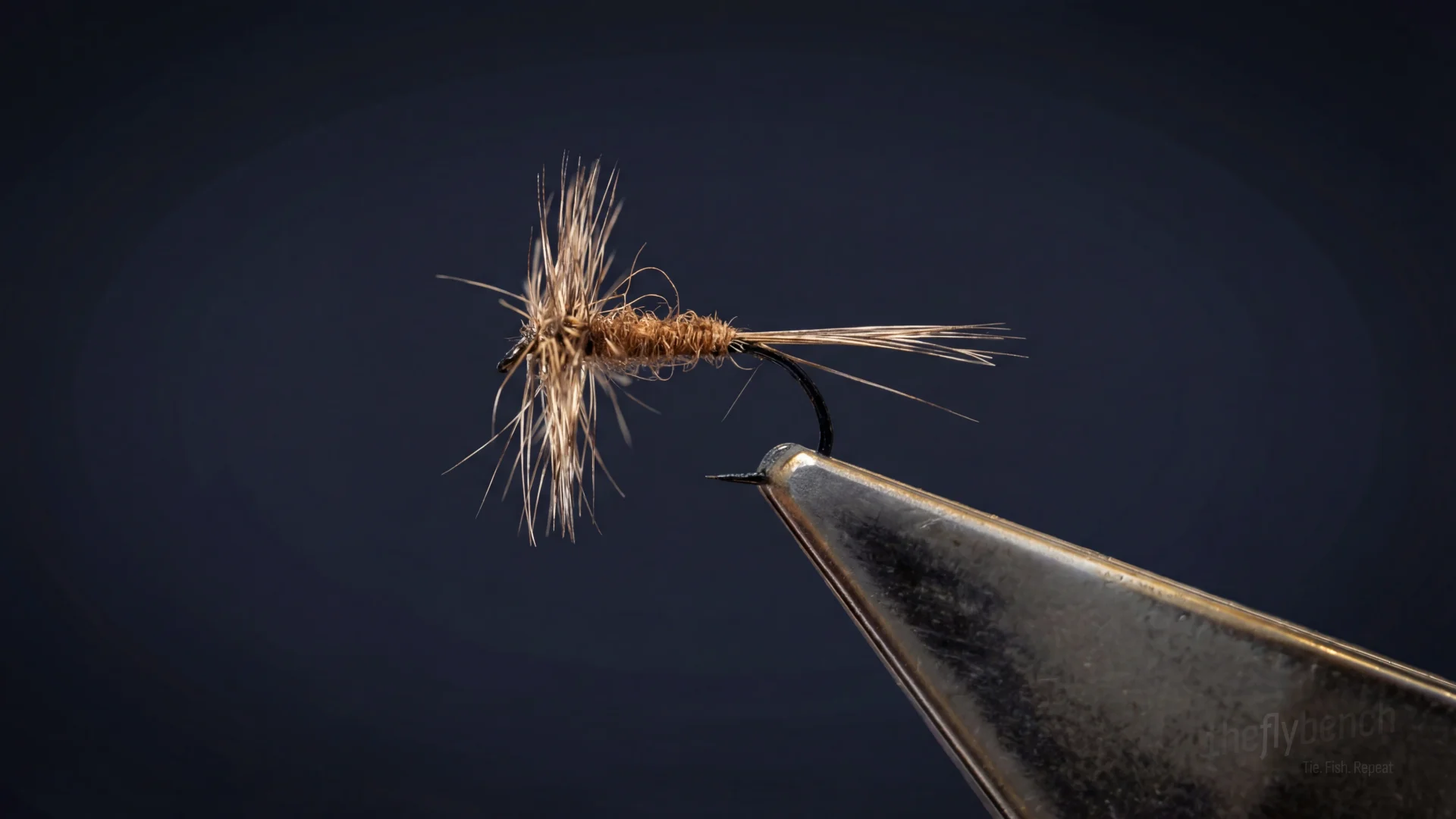 Reverse Hackled Dry Fly (generic) fly pattern - imitates Mayflies, Caddis tied for Trout