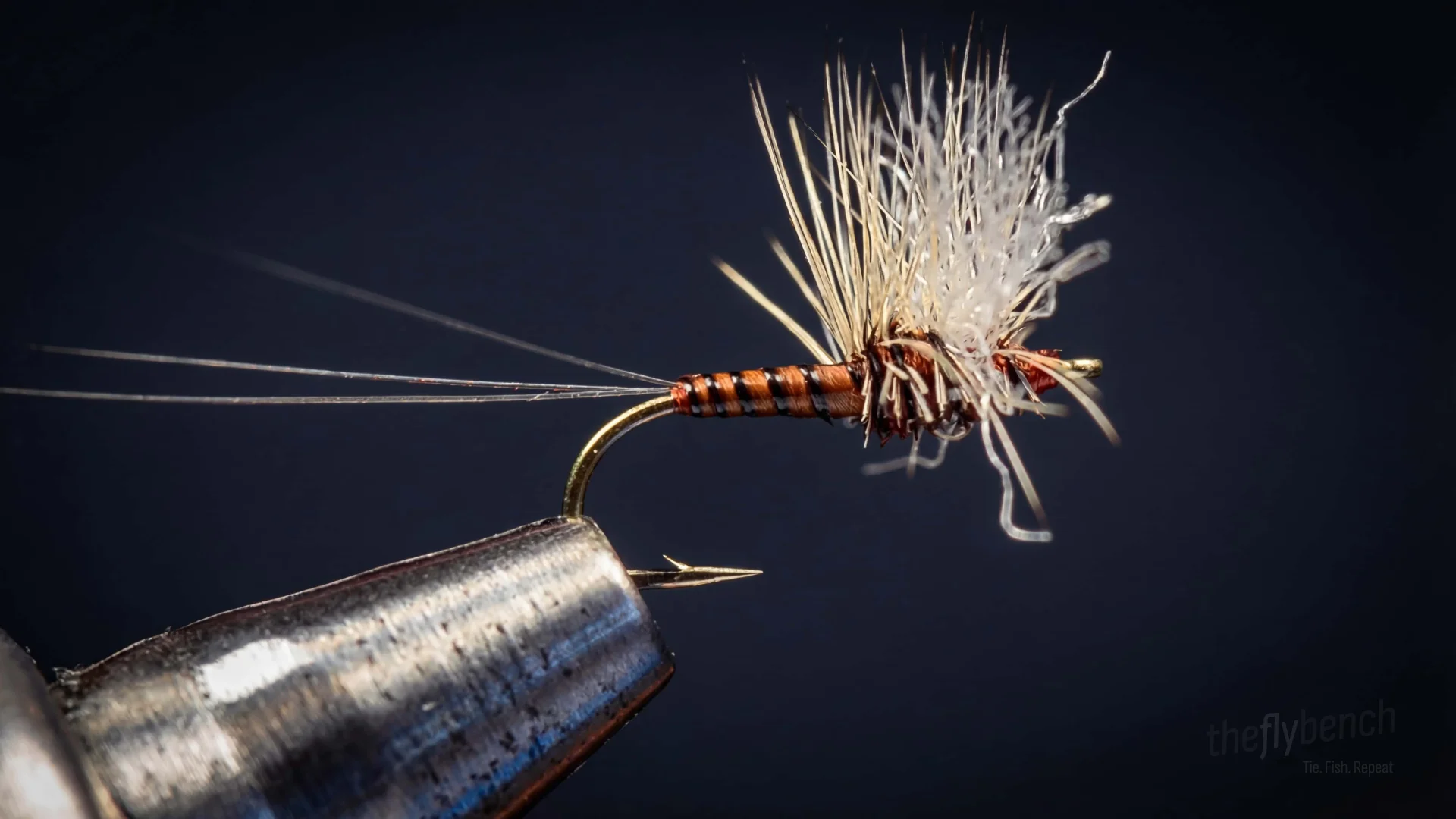 Rusty Spinner fly pattern - imitates Mayflies tied for Trout