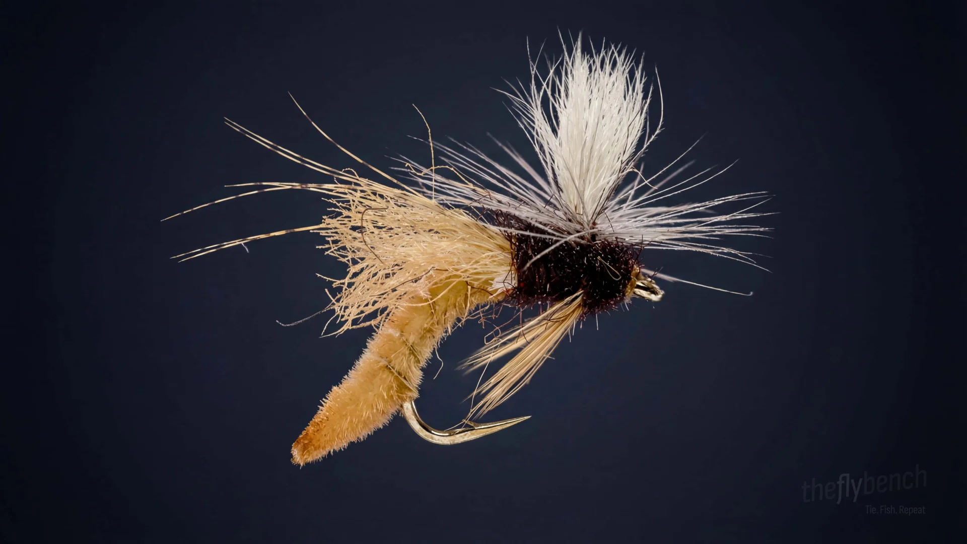 Spotlight Caddis fly pattern - imitates Caddis tied for Trout