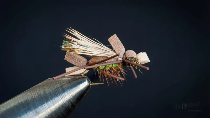 Amy's Ant - Image source: The Fly Bench