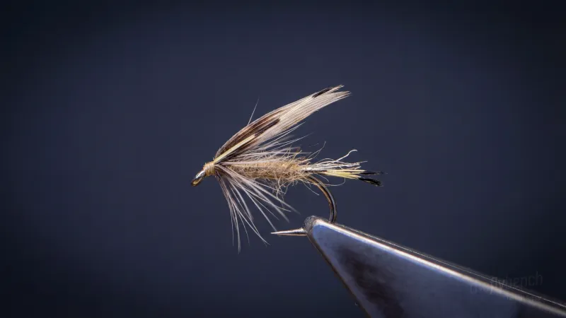 Bee Sting - Image source: The Fly Bench