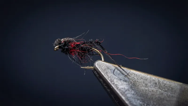 Bibio Marci - Image source: The Fly Bench