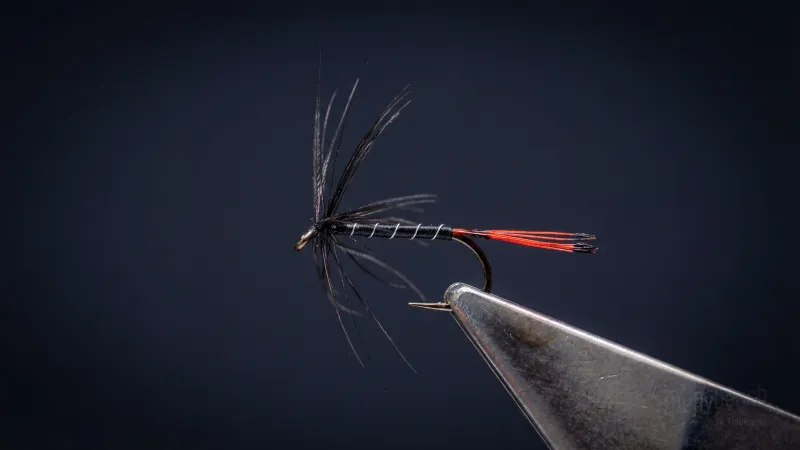 Black Pennell - Image source: The Fly Bench