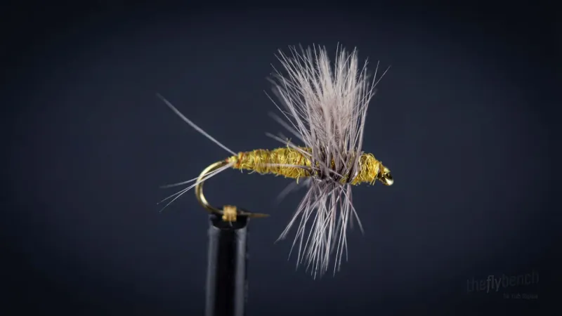 BWO Thorax - Image source: The Fly Bench