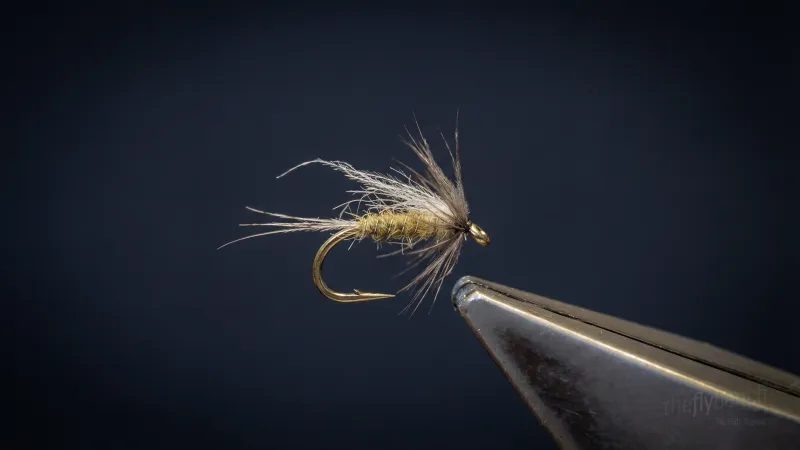 Diving Baetis