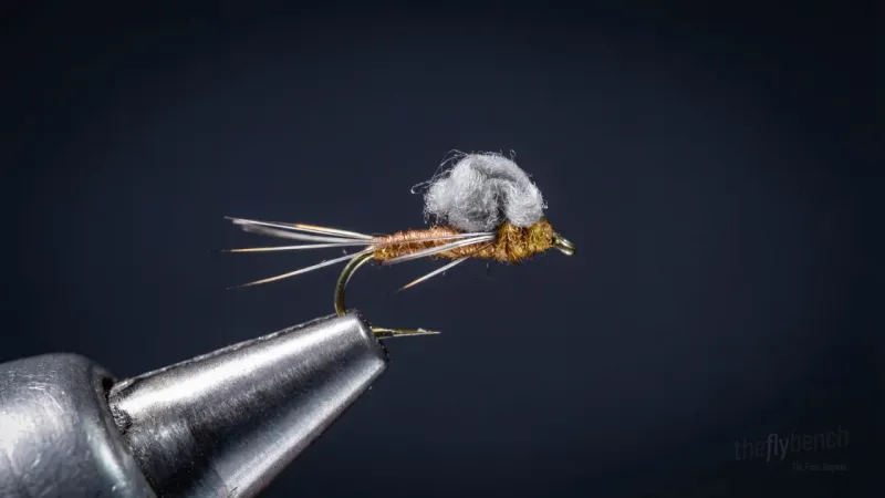 Floating Nymph