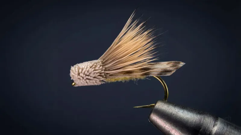 Letort Hopper