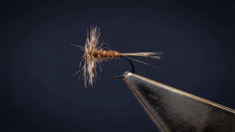 Reverse Hackled Dry Fly (generic)