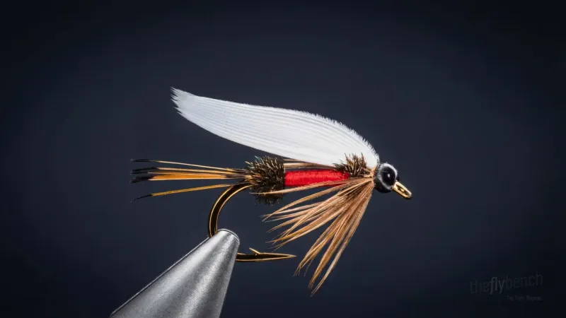 Royal Coachman