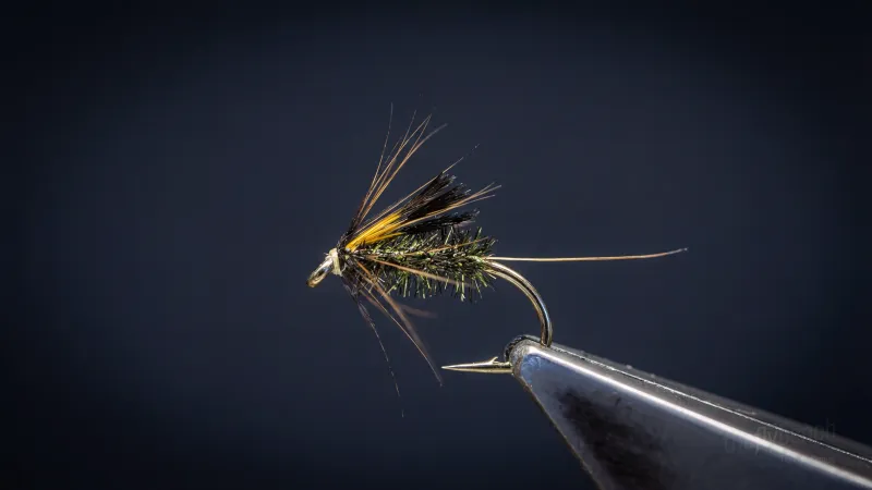 Sunray Diawl Bach