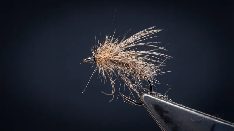 Triple Threat Caddis