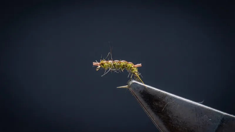 Trout Crack