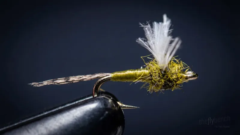 Tuft and Tail
